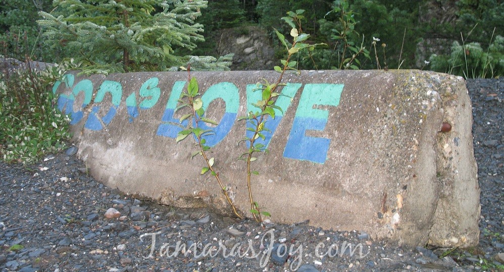 Tamarasjoy.com is a place for me to share all the many projects that I create from my heart to my hands as well as randomly touch on topics that are on my heart such as adoption, faith & family.